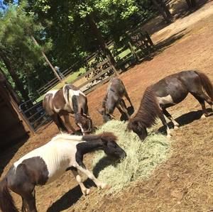 Meet your Posher, Richard